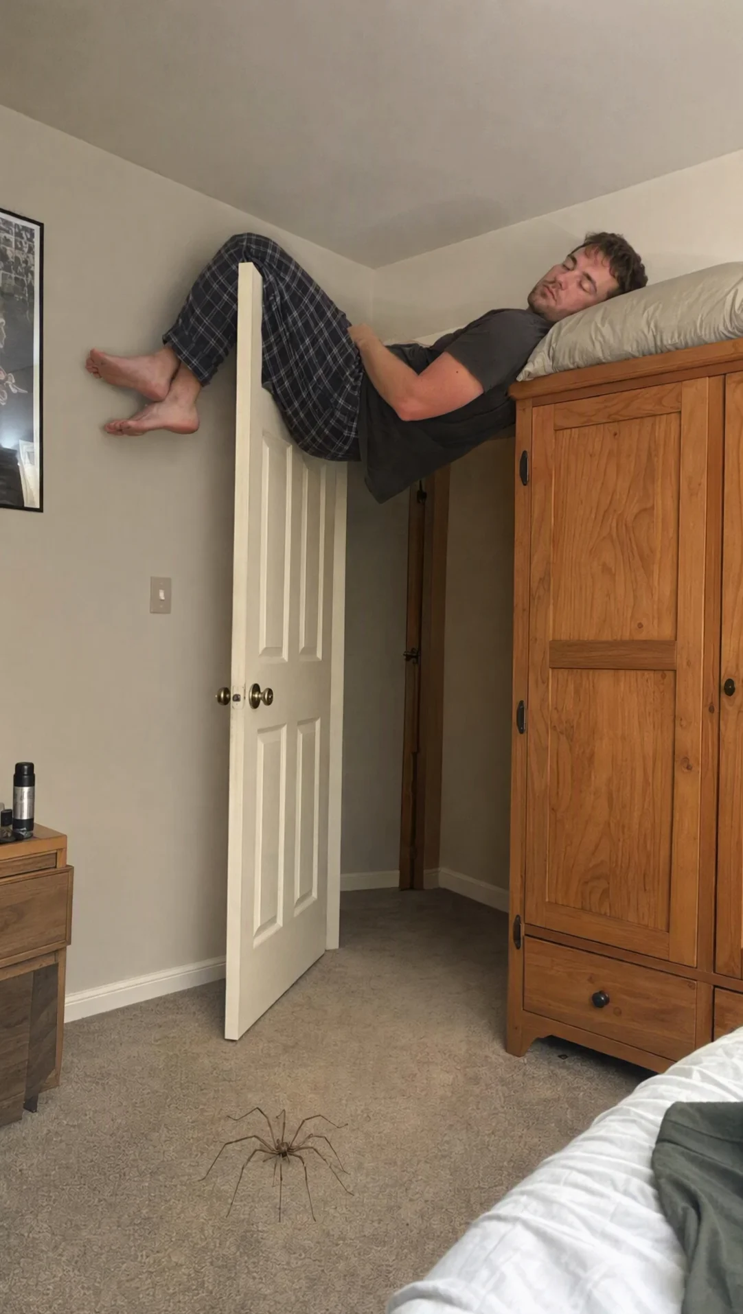 Create a Funny Spider Encounter Video with Realistic Effects
